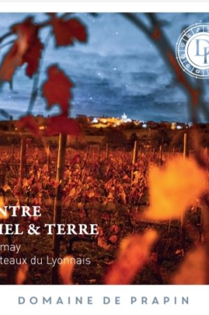 Entre Ciel & Terre - Gamay