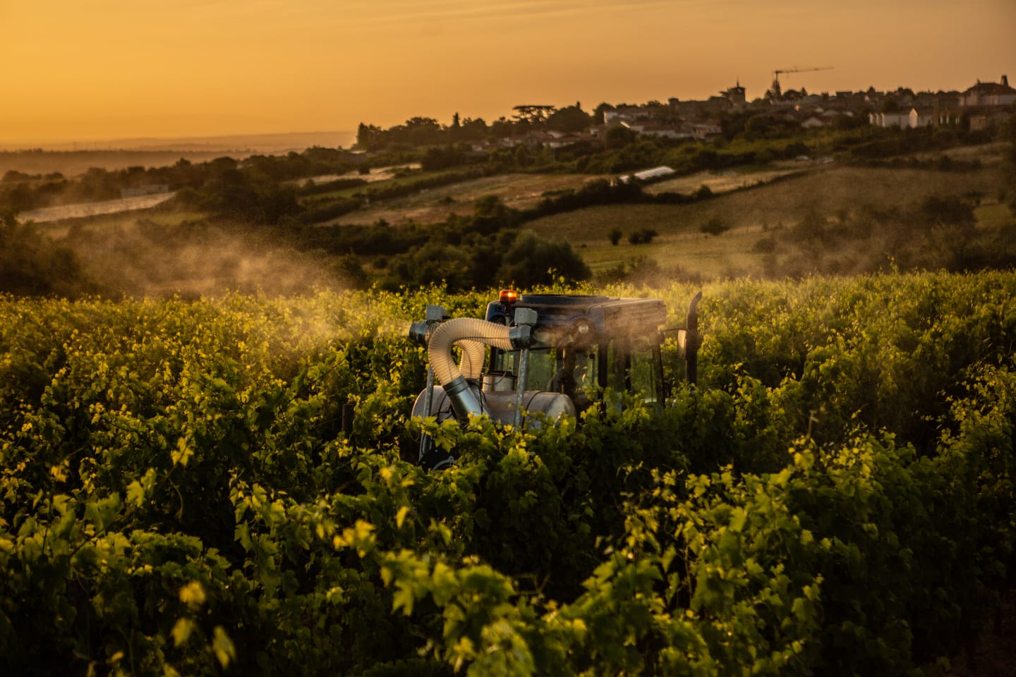 La biodynamie, silice de corne, domaine de prapin, demeter
