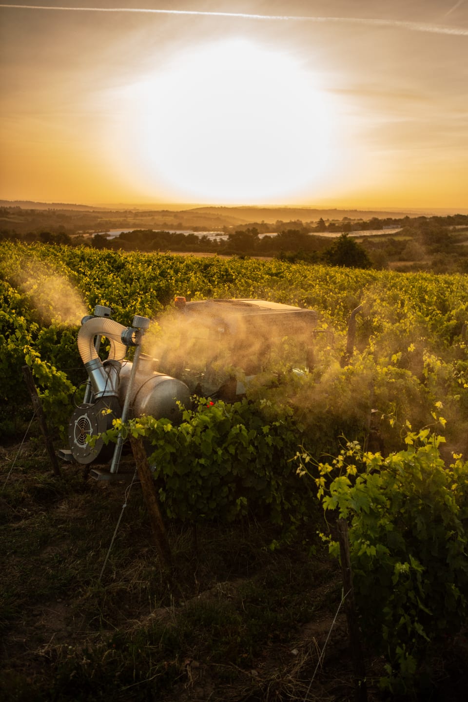 La biodynamie, silice de corne, domaine de prapin, demeter