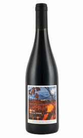 gamay domaine de prapin coteaux du lyonnais Entre Cial & Terre