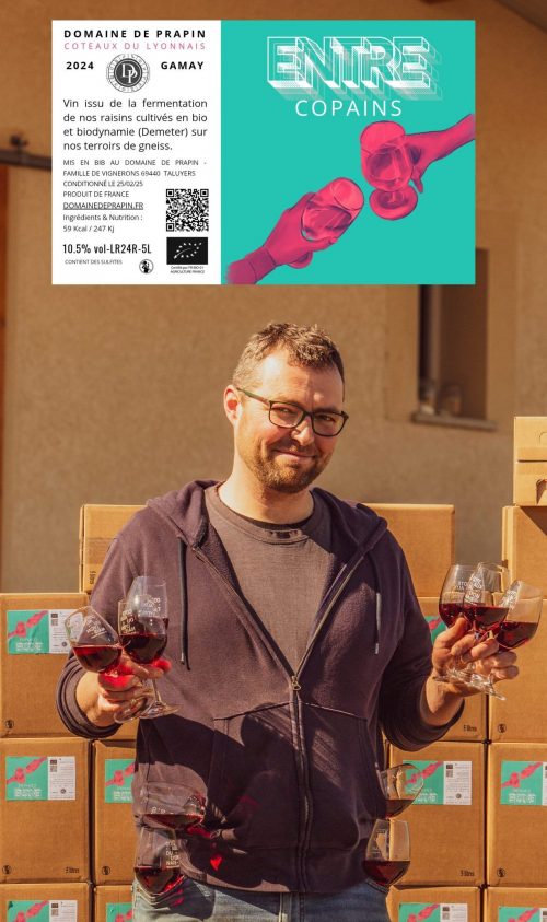 CUBIS BIB GAMAY BIO COTEAUX DU LYONNAIS